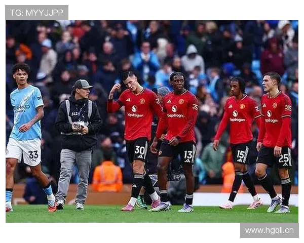 费迪南德称曼联搭档渐成默契